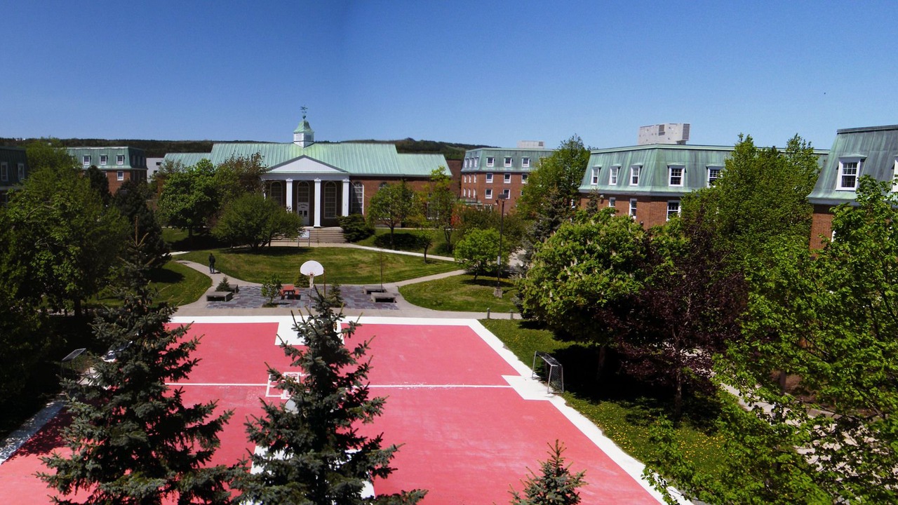 Photo of Others in St. John's