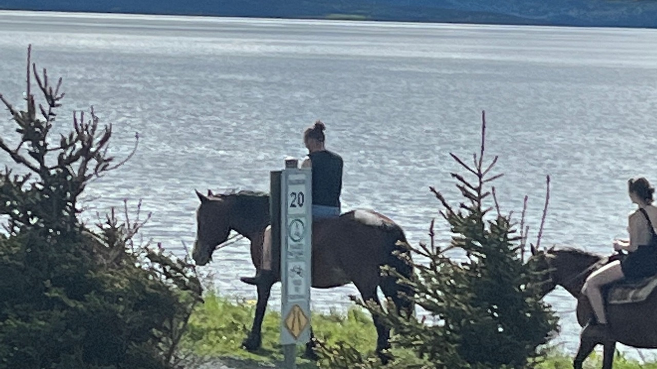 Photo of Outdoor in Conception Bay South