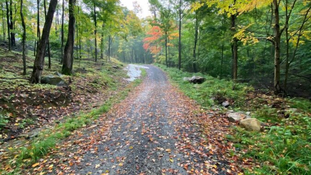 Photo of Outdoor in Huntsville