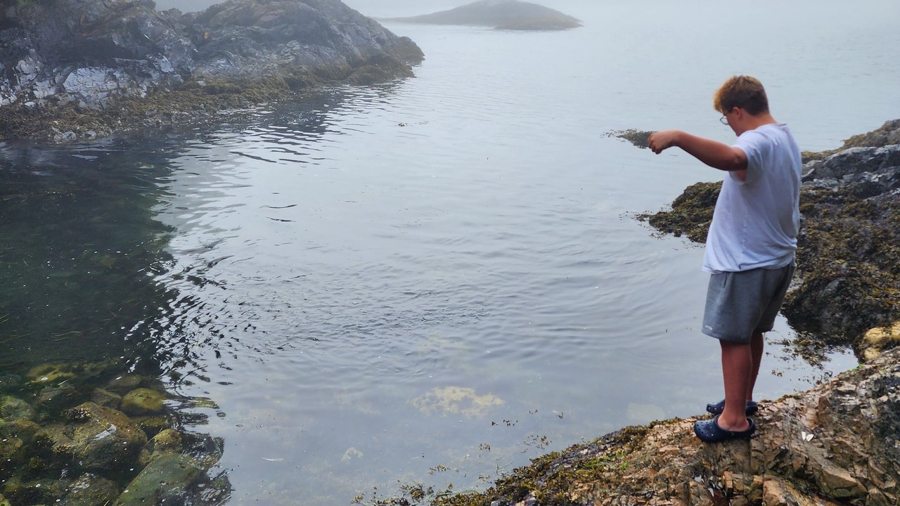 Photo of Others in Tofino