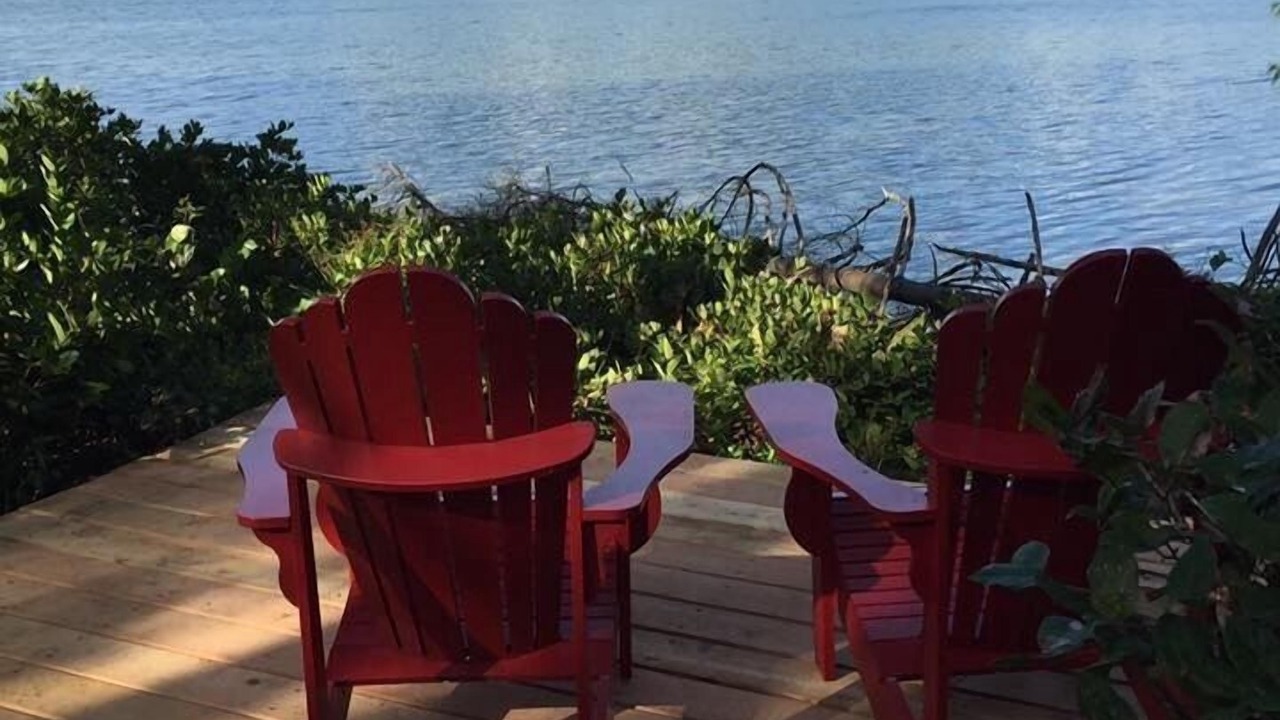 Photo of Others in Tofino