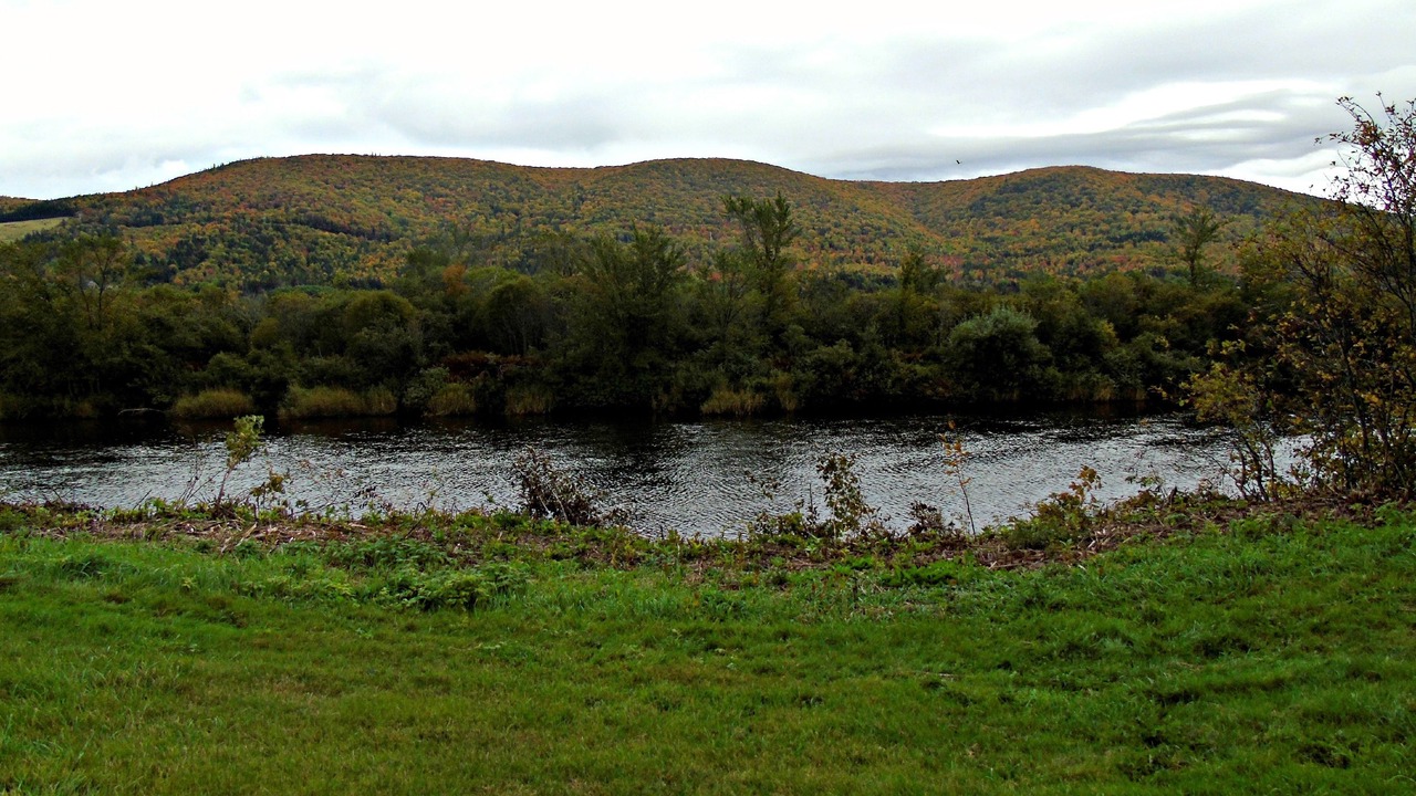 Photo of Outdoor in Margaree Forks