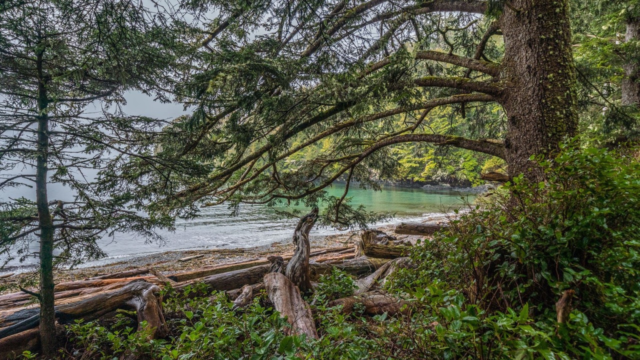 Photo of Outdoor in Ucluelet