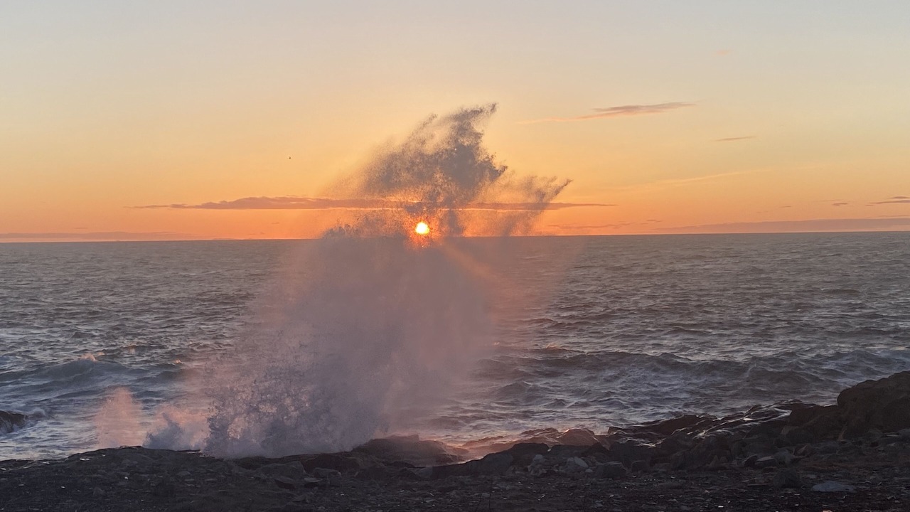 Photo of Others in Bonavista
