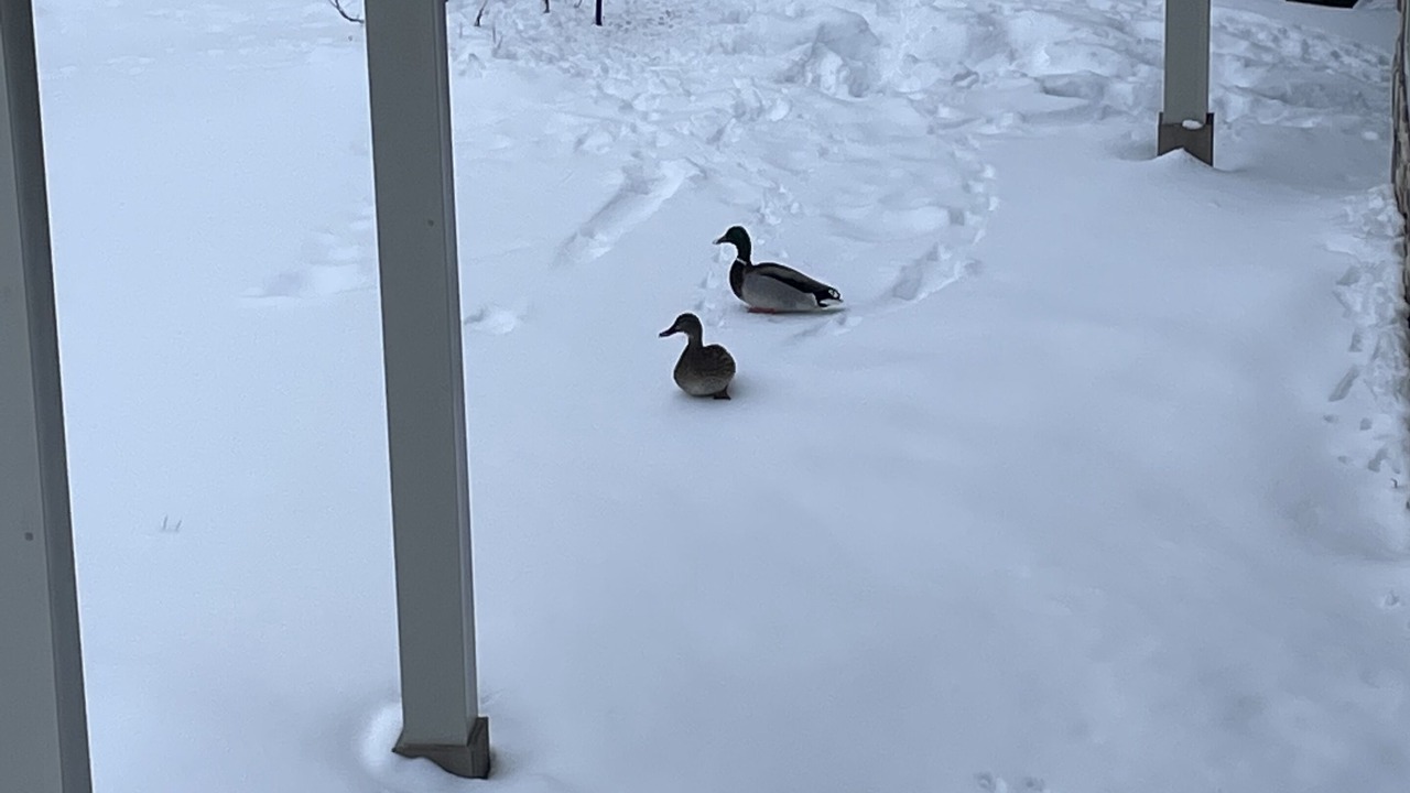 Photo of Others in Saint-Sauveur