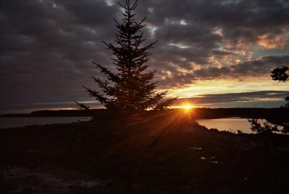 Photo of Others in Chance Harbour
