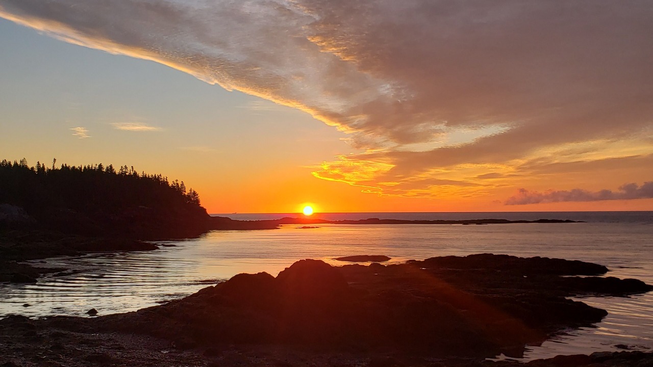 Photo of Others in Chance Harbour