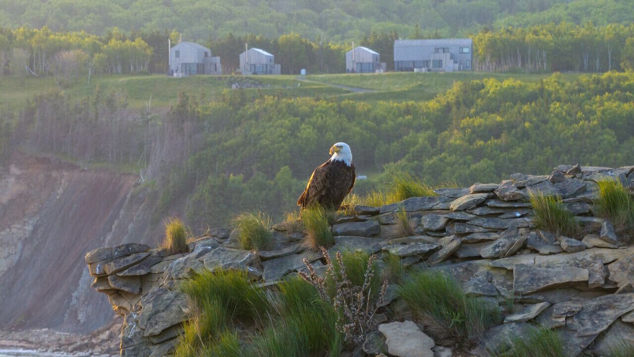 Photo of Others in Inverness County