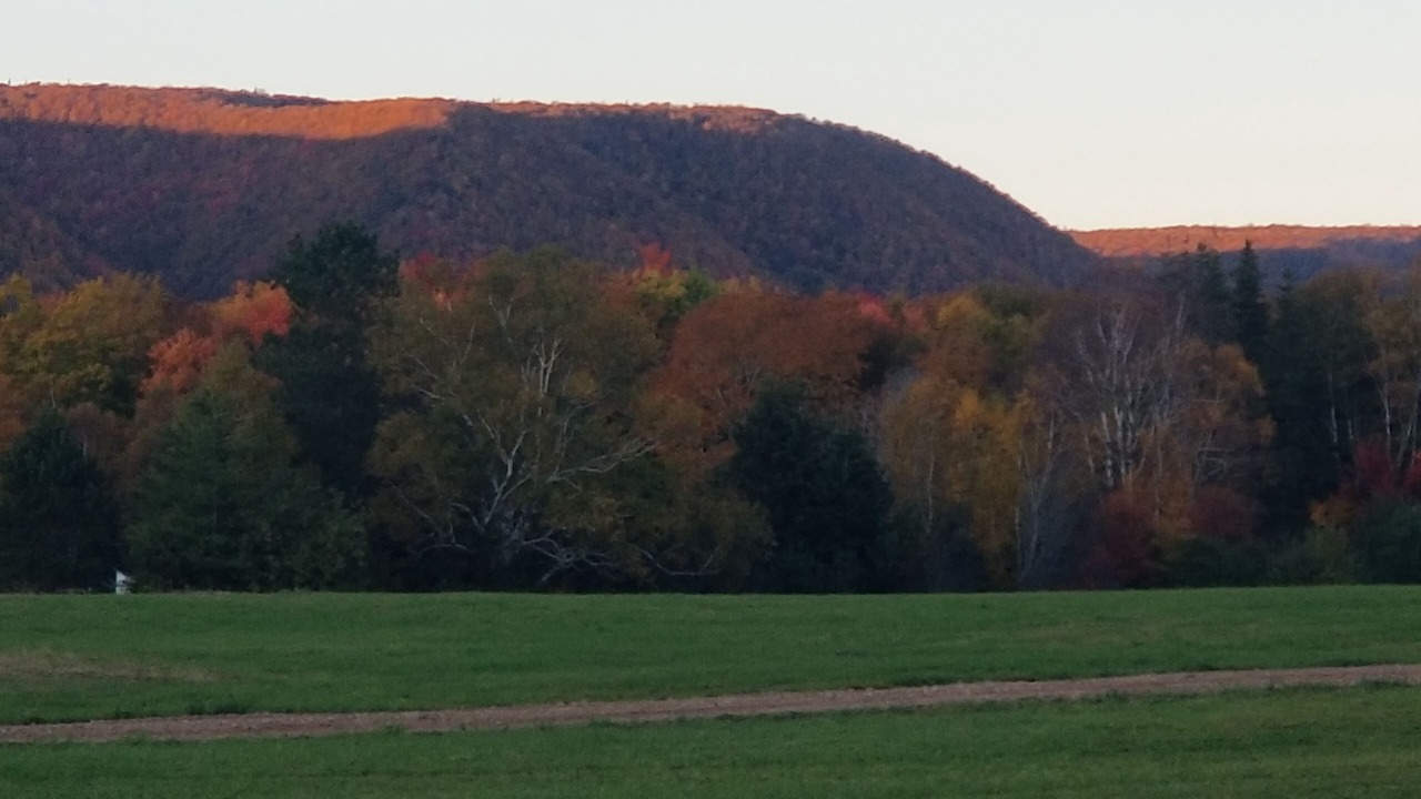 Photo of Others in Margaree Valley