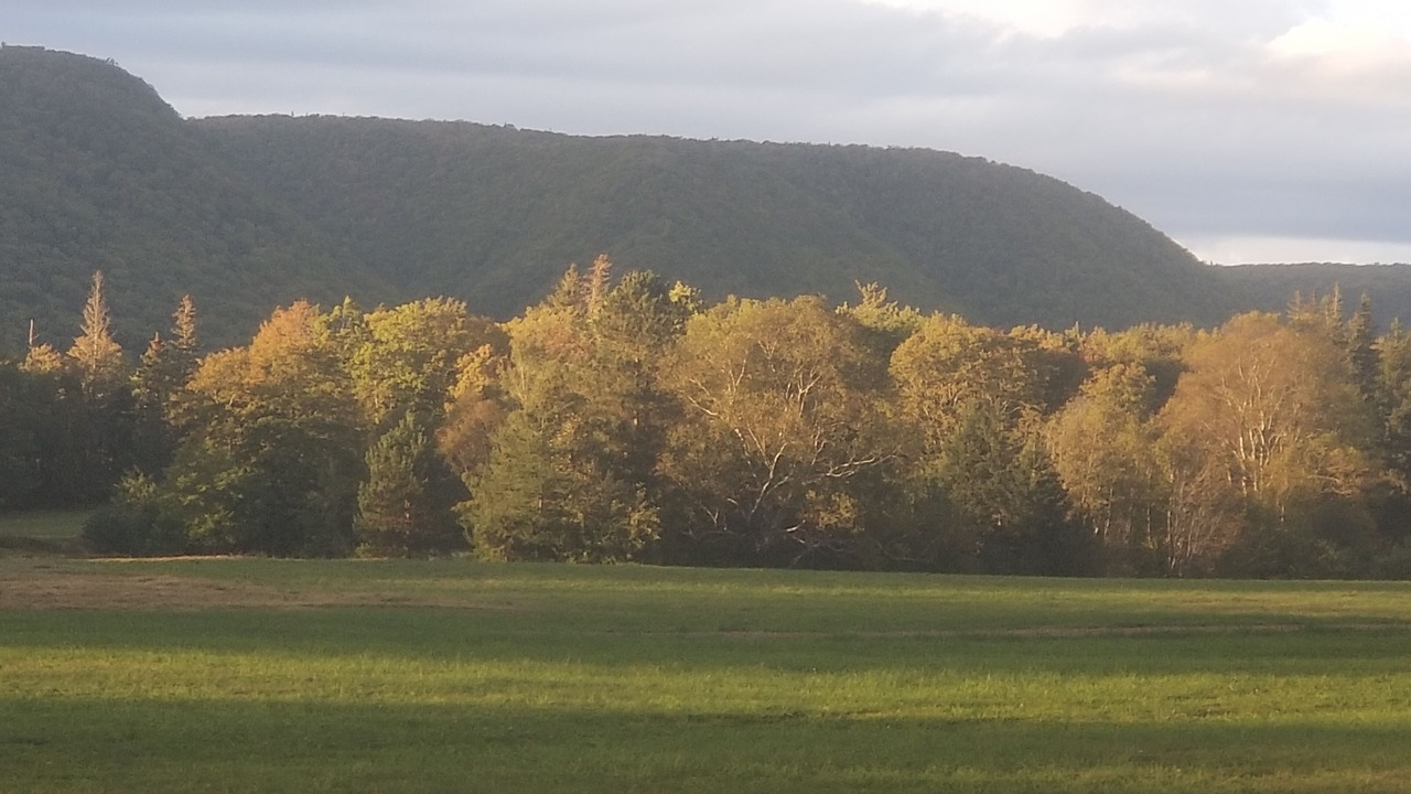 Photo of Outdoor in Margaree Valley