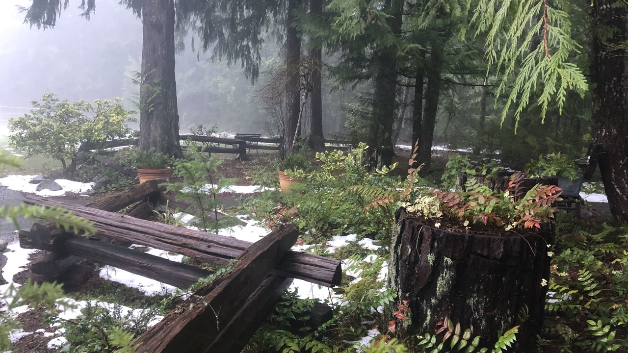 Photo of Outdoor in Regional District of Nanaimo