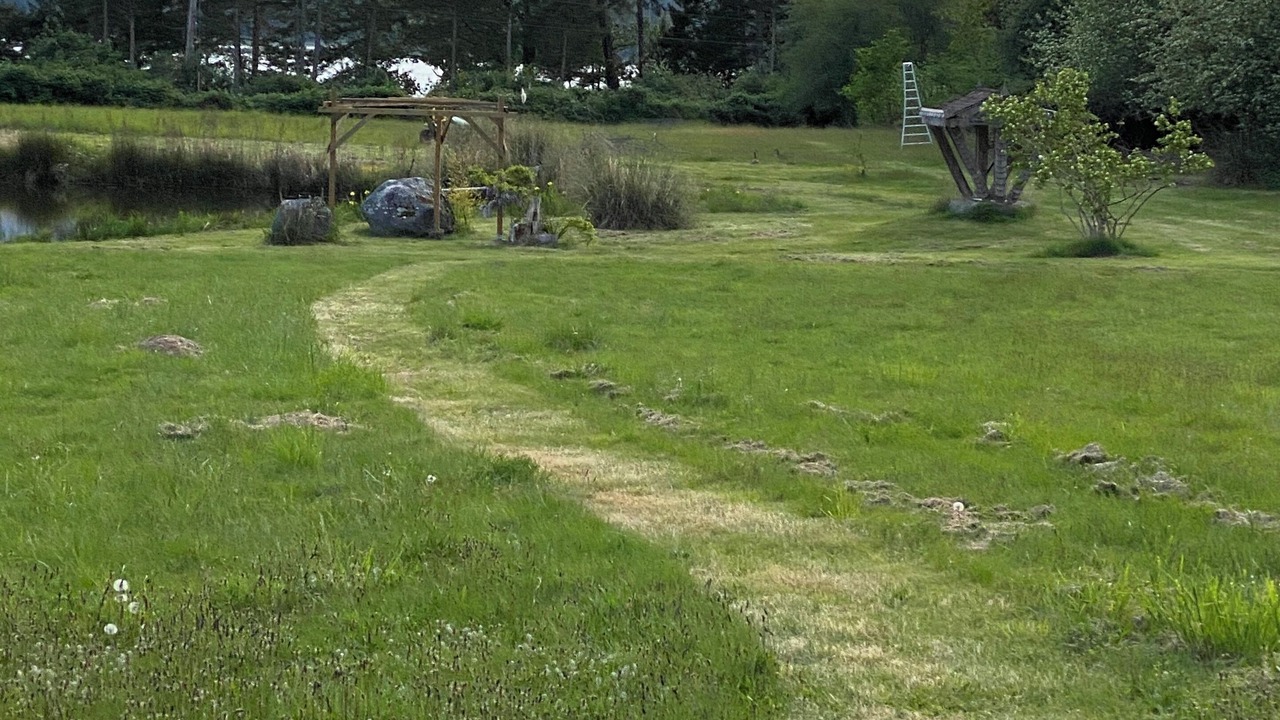 Photo of Outdoor in Denman Island