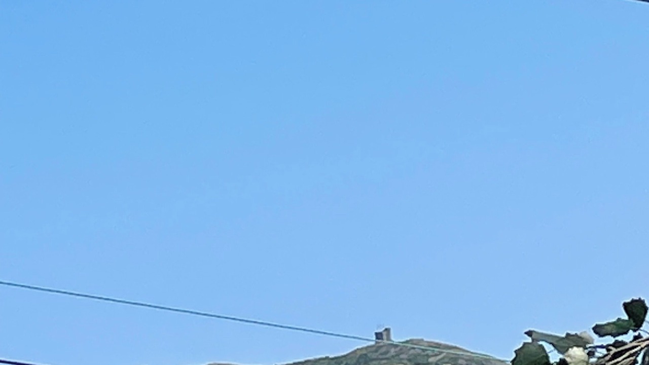 Photo of Others in Downtown St. John's