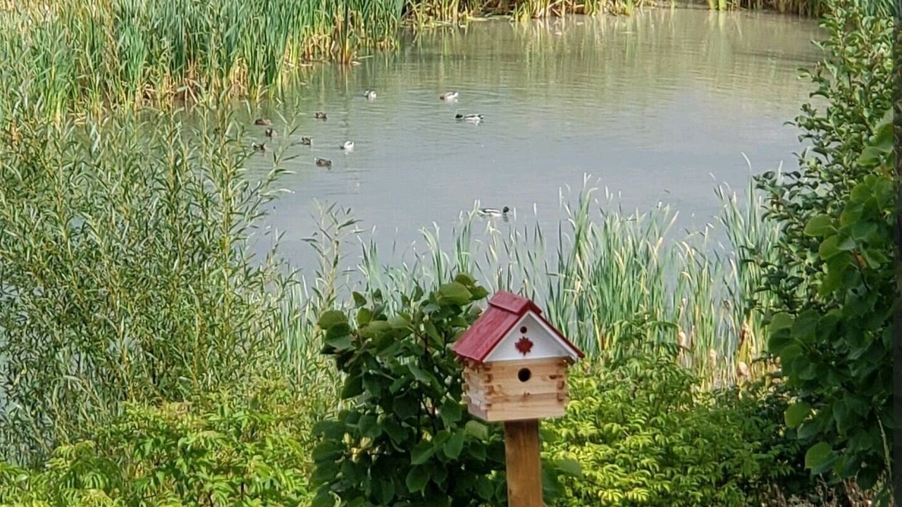 Photo of Outdoor in Newmarket