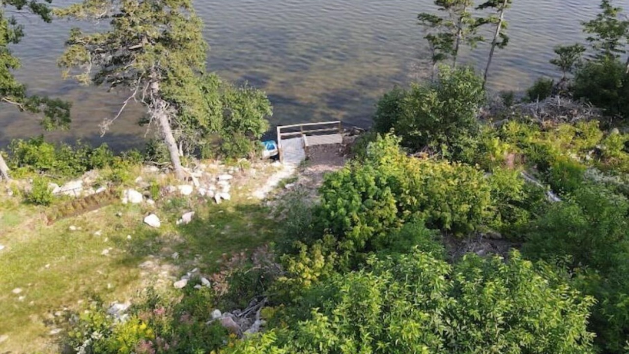 Photo of Outdoor in South Harbour