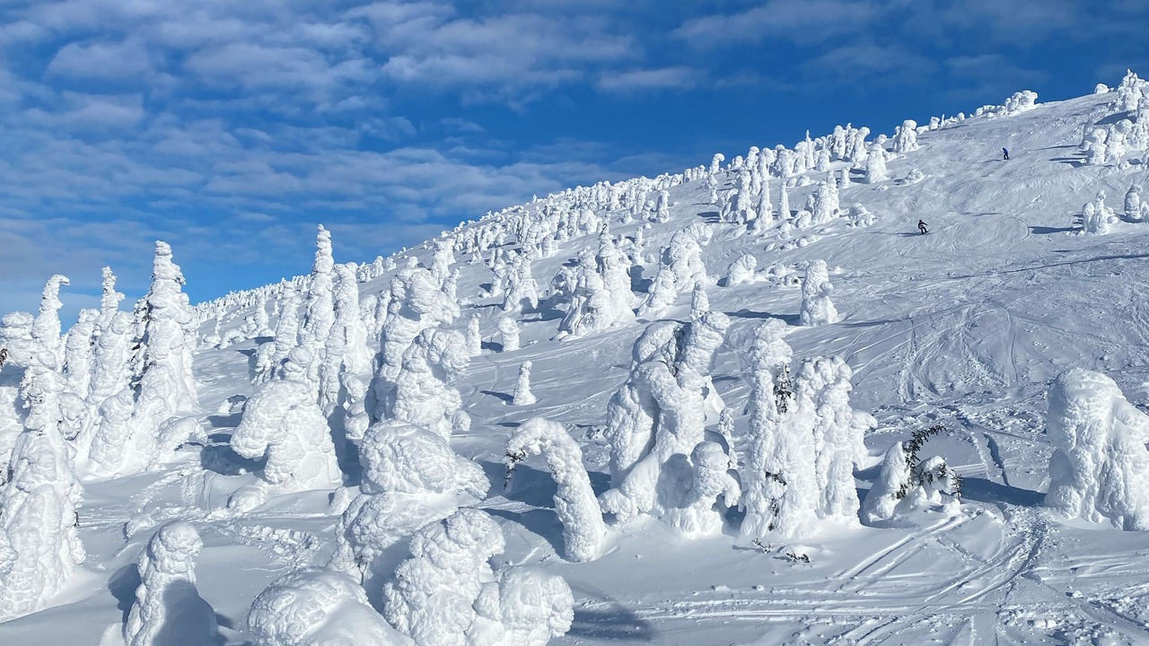 Photo of Others in Central Okanagan