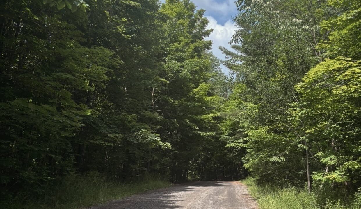 Photo of Others in Muskoka Lakes
