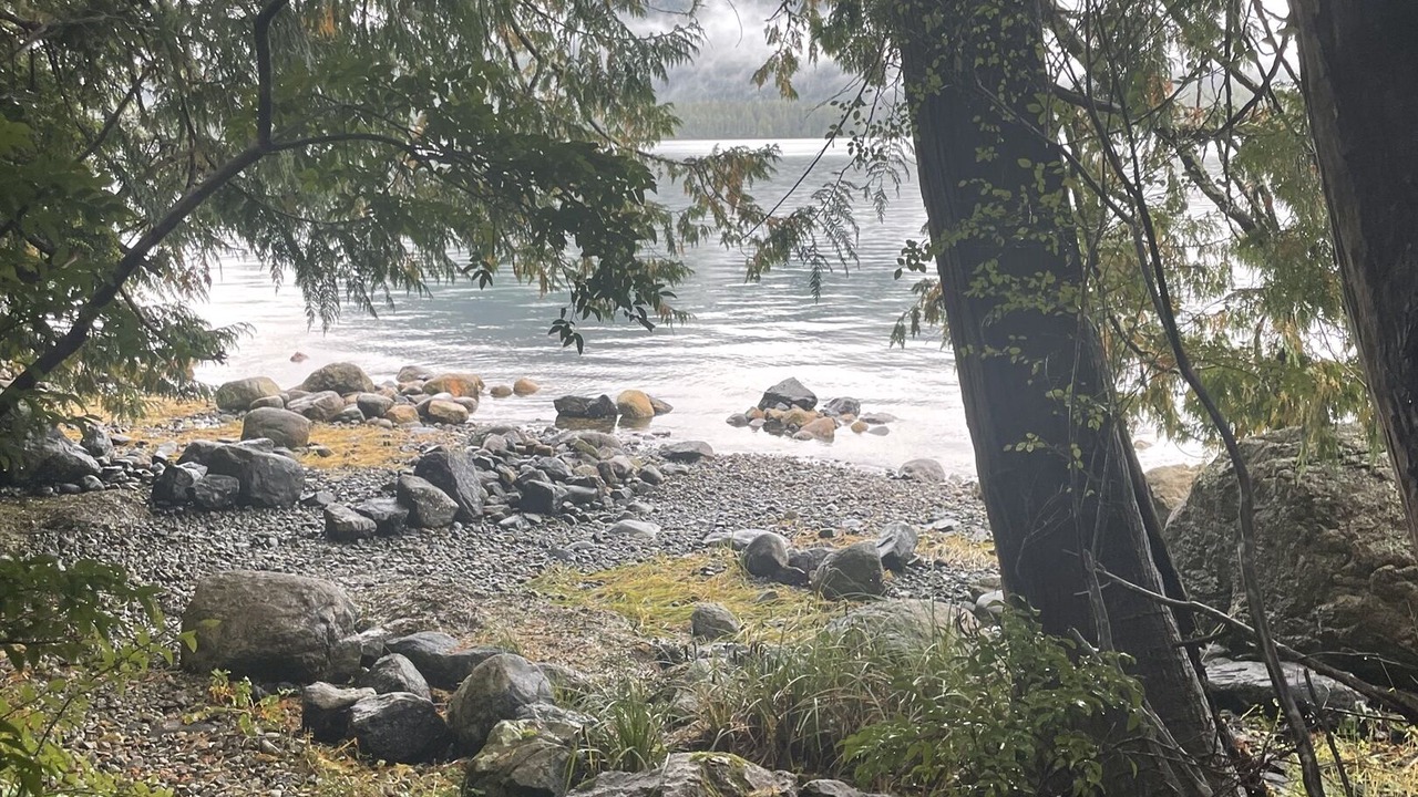 Photo of Others in Tofino