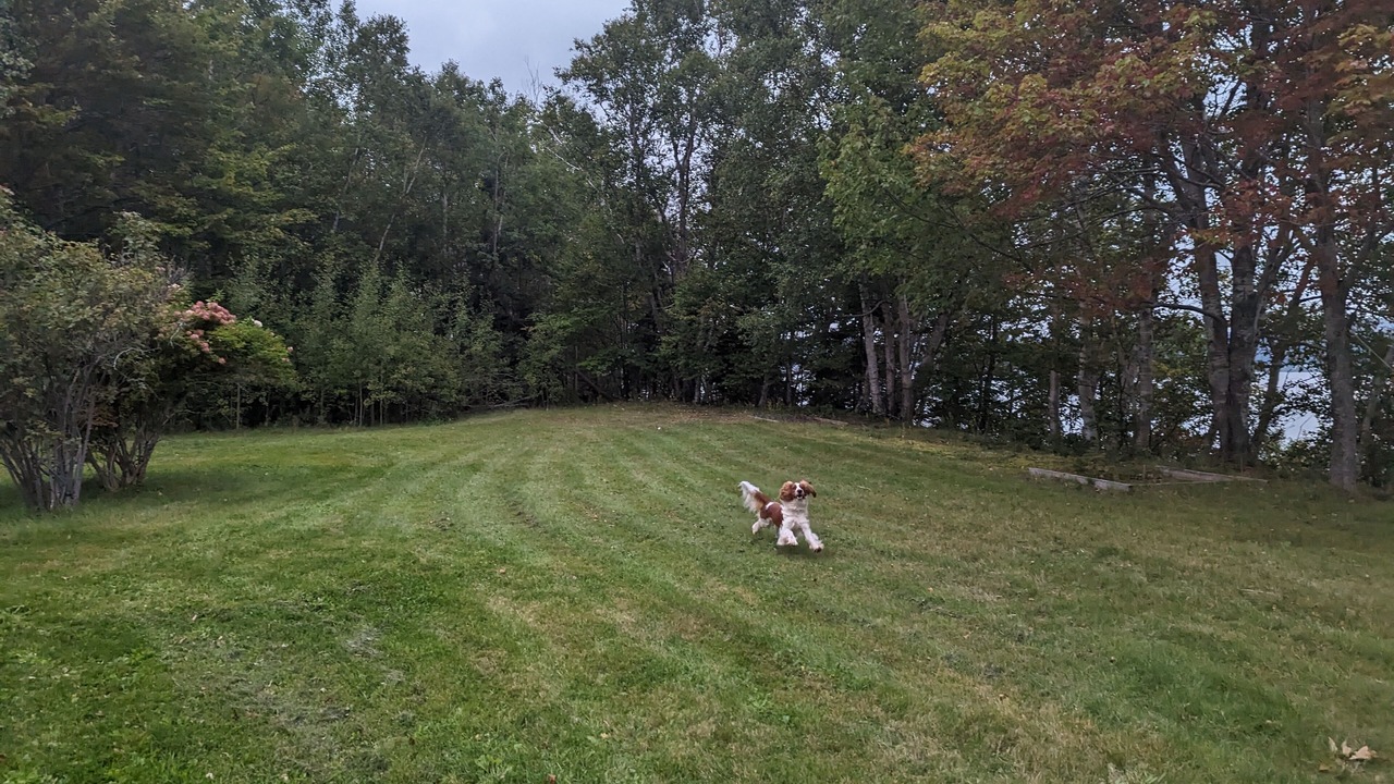 Photo of Outdoor in Inverness County
