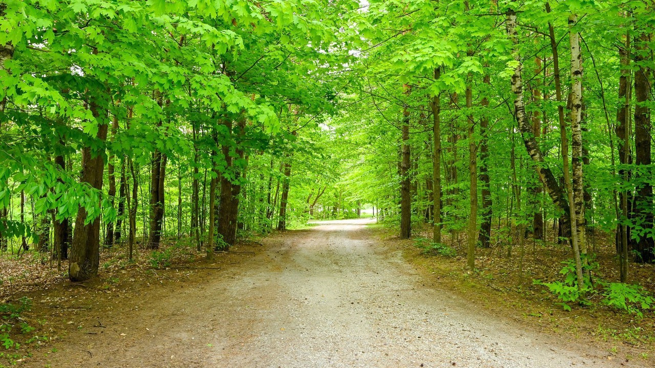 Photo of Outdoor in Terra Nova