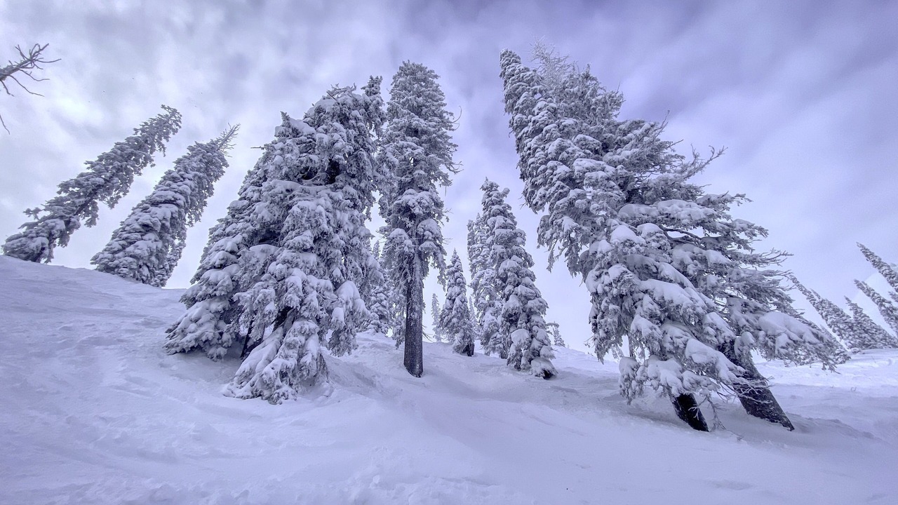 Photo of Others in East Kootenay