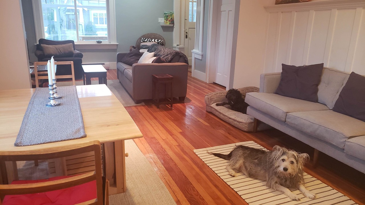 Photo of Bedroom in Hastings