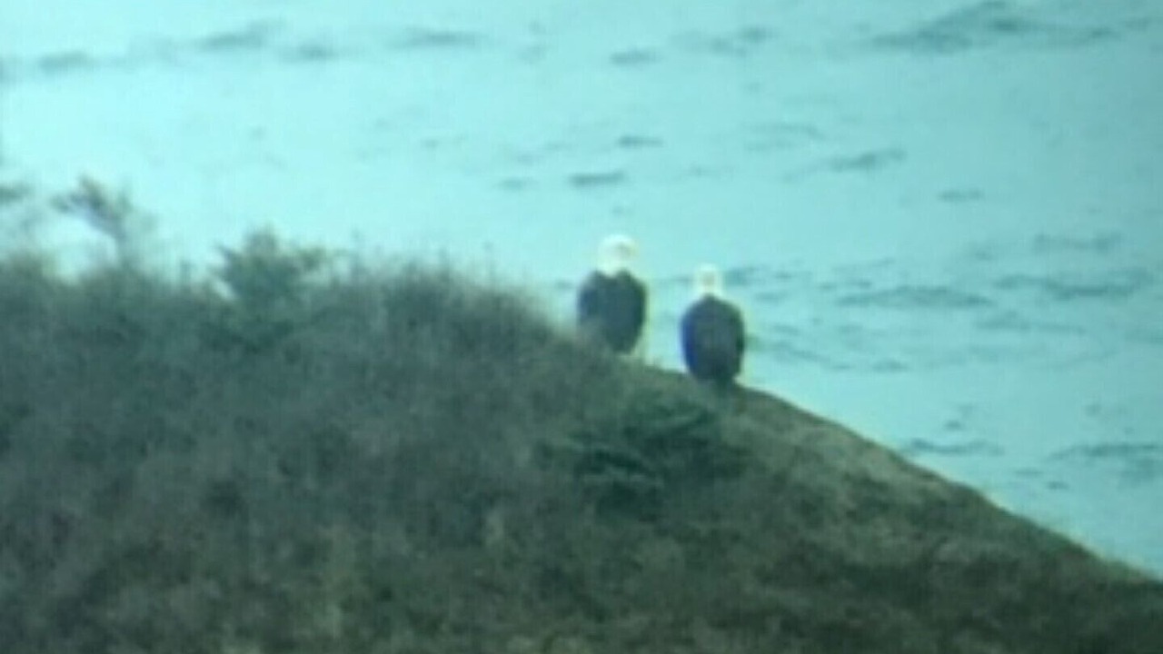 Photo of Others in Dunvegan