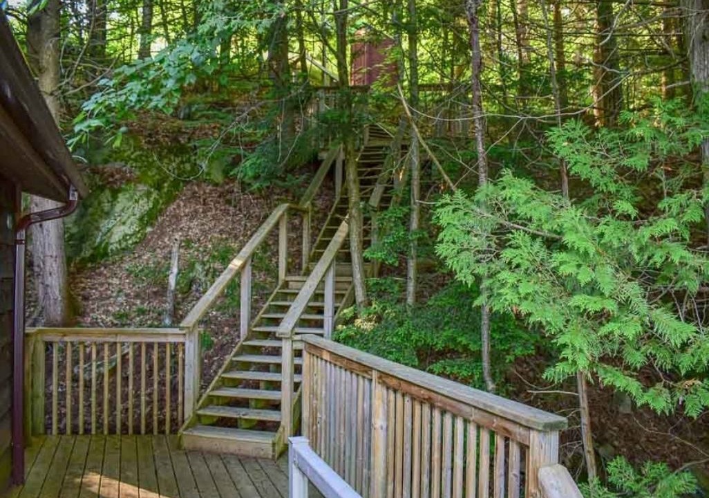 Photo of Outdoor in Broadbent