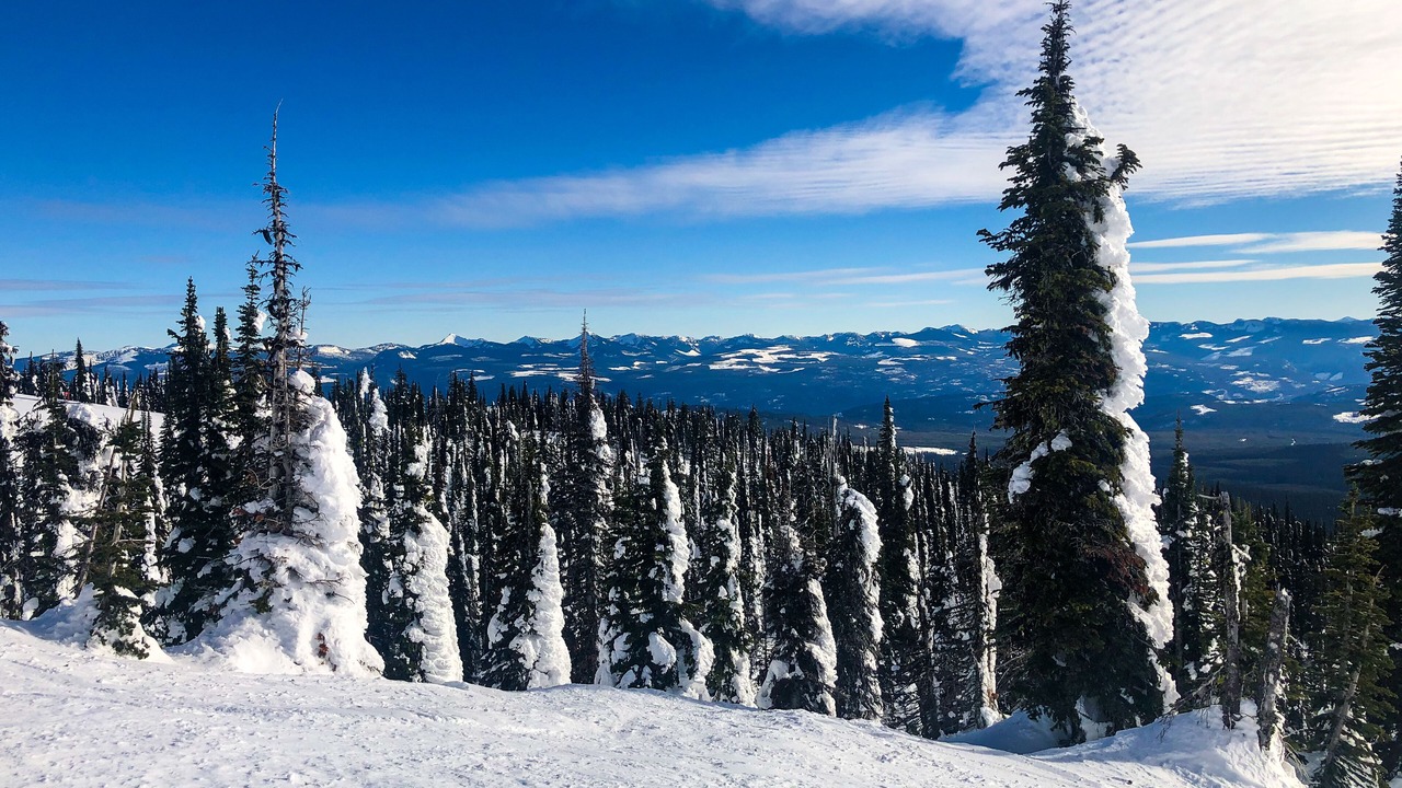 Photo of Others in Central Okanagan