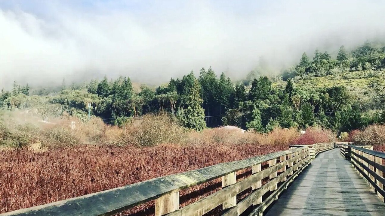 Photo of Outdoor in Langford
