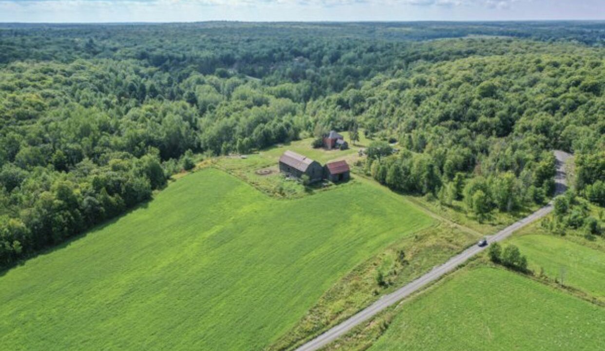 Photo of Outdoor in Utterson