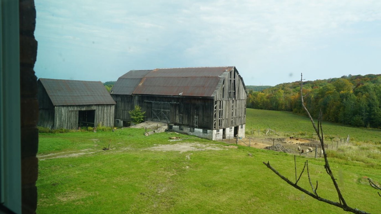 Photo of Outdoor in Utterson