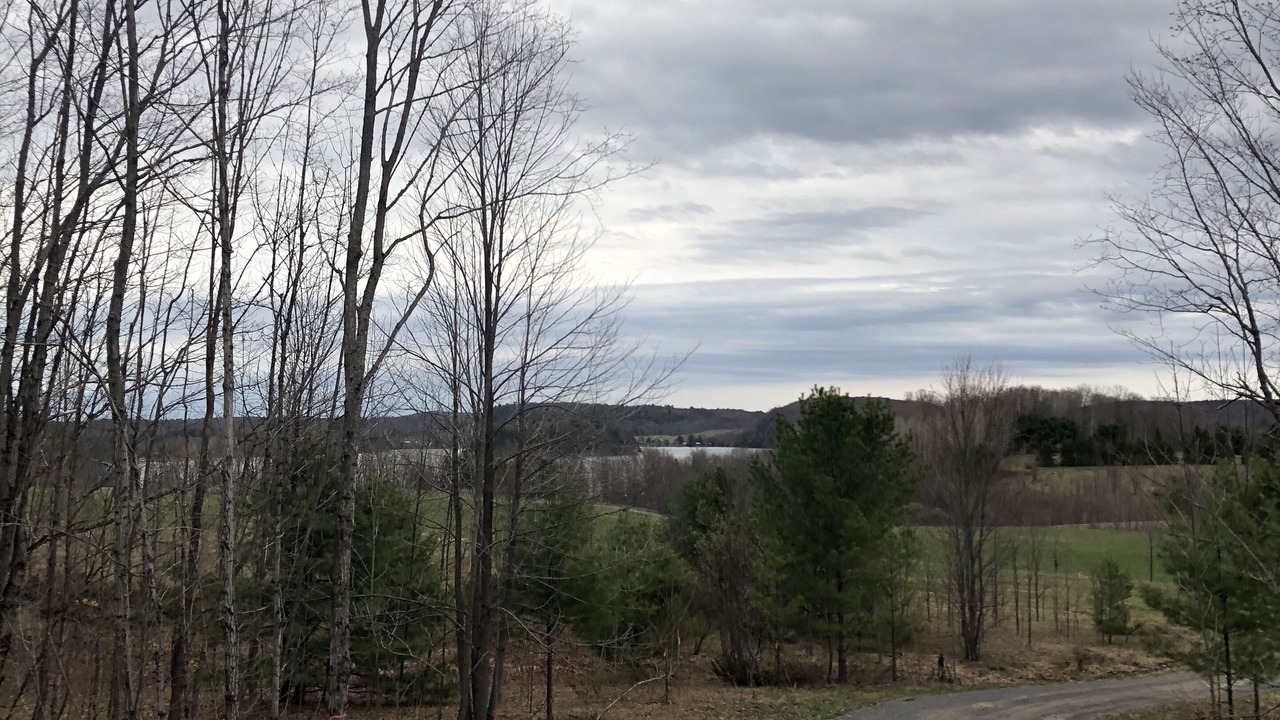 Photo of Outdoor in Utterson