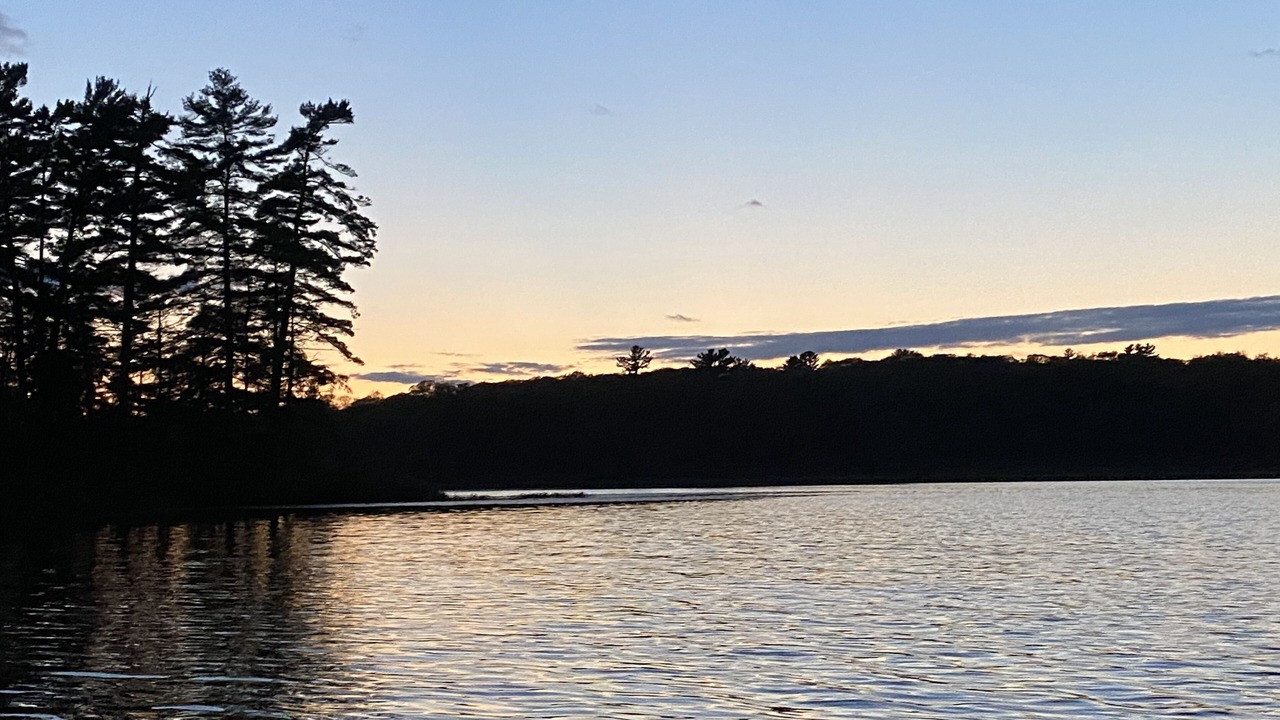 Photo of Others in Parry Sound