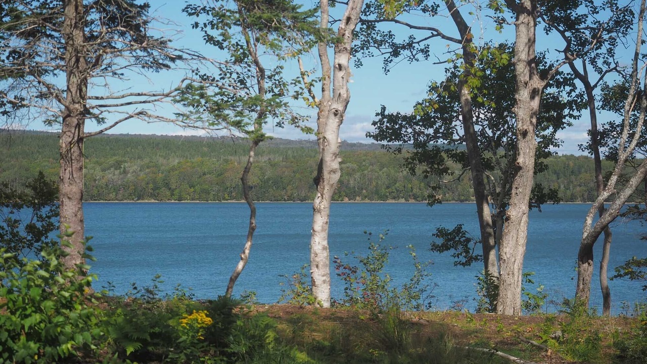 Photo of Outdoor in Glenville