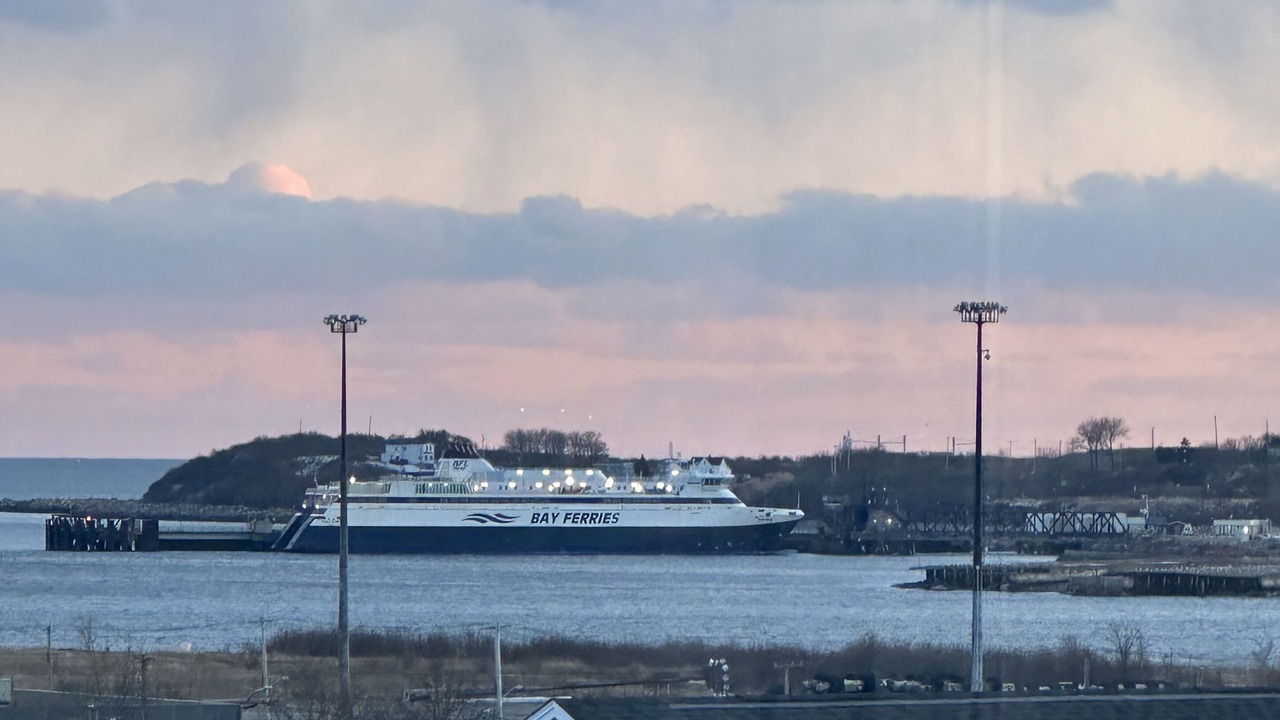 Photo of Others in Saint John