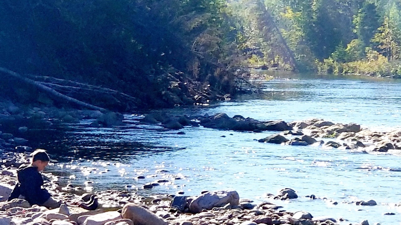 Photo of Others in Margaree Valley