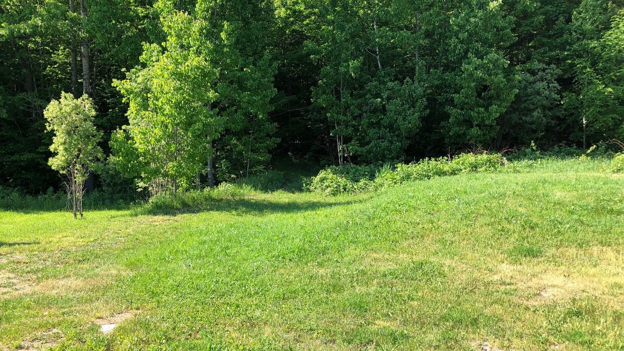 Photo of Outdoor in Dorset