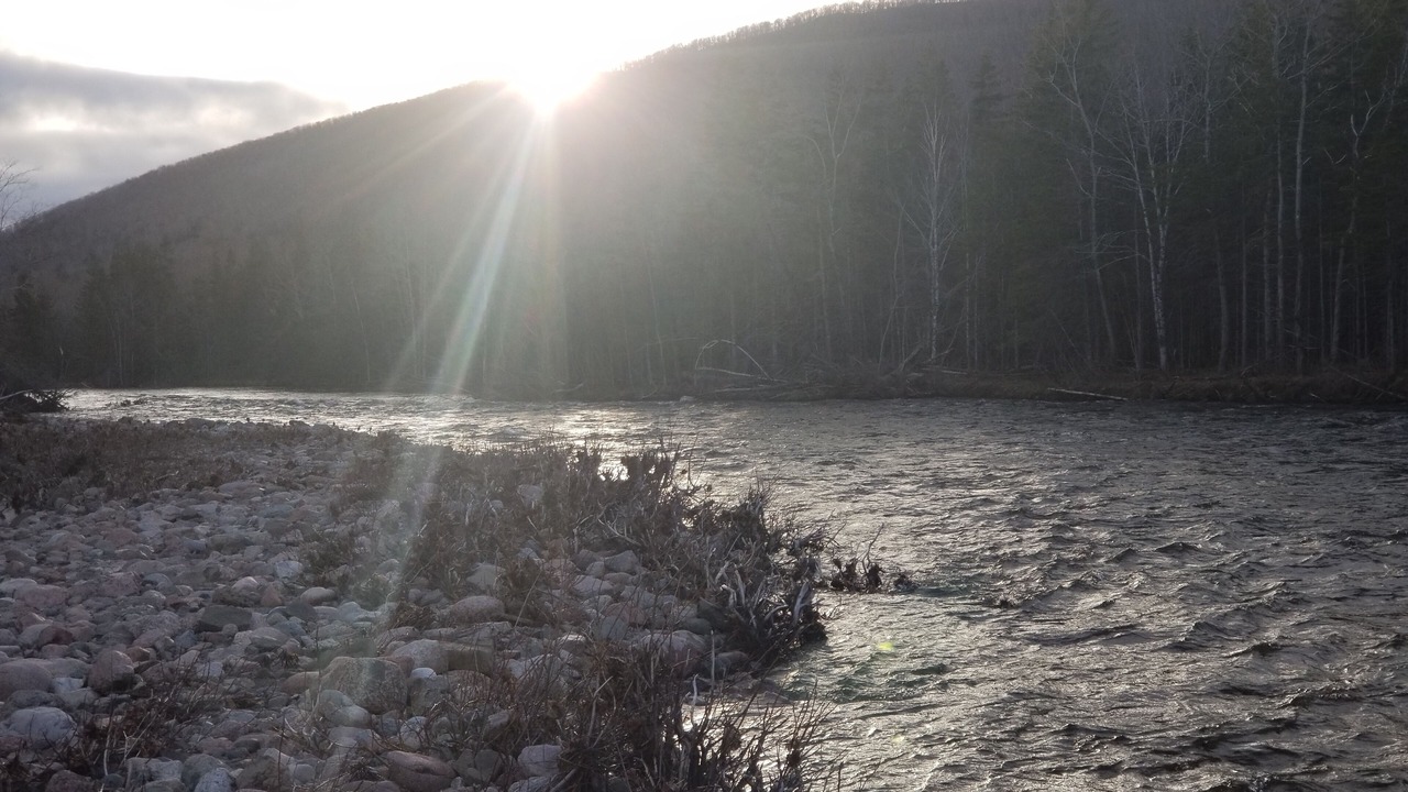 Photo of Others in Margaree Valley