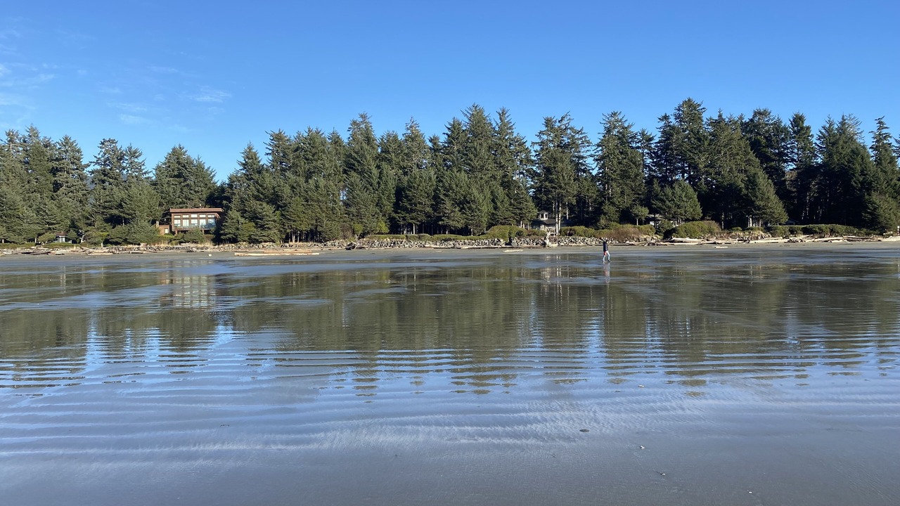 Photo of Others in Tofino