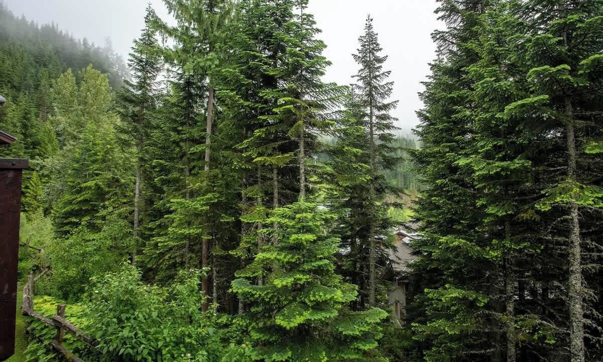Photo of Others in Nordic Estates
