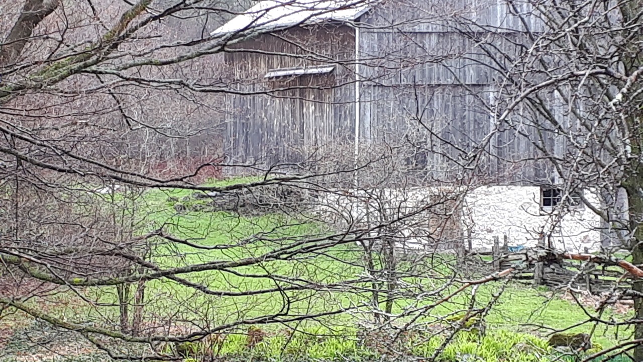 Photo of Outdoor in Feversham