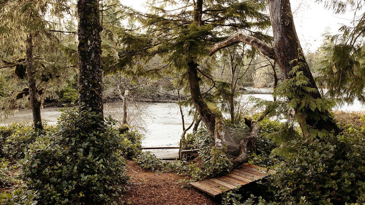 Photo of Outdoor in Tofino