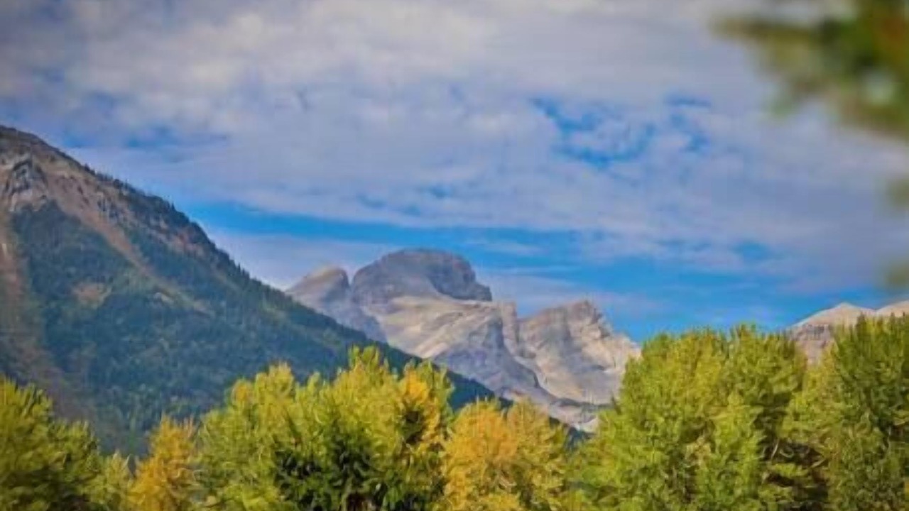 Photo of Others in Fernie