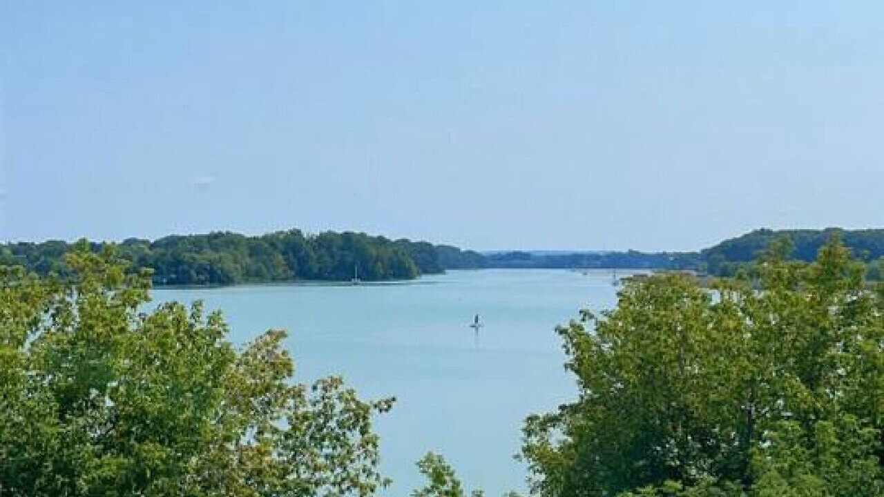 Photo of Others in Port Dalhousie