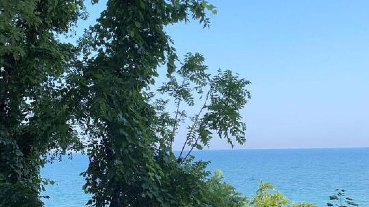 Photo of Others in Port Dalhousie