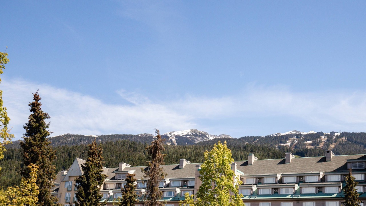 Photo of Others in Blackcomb