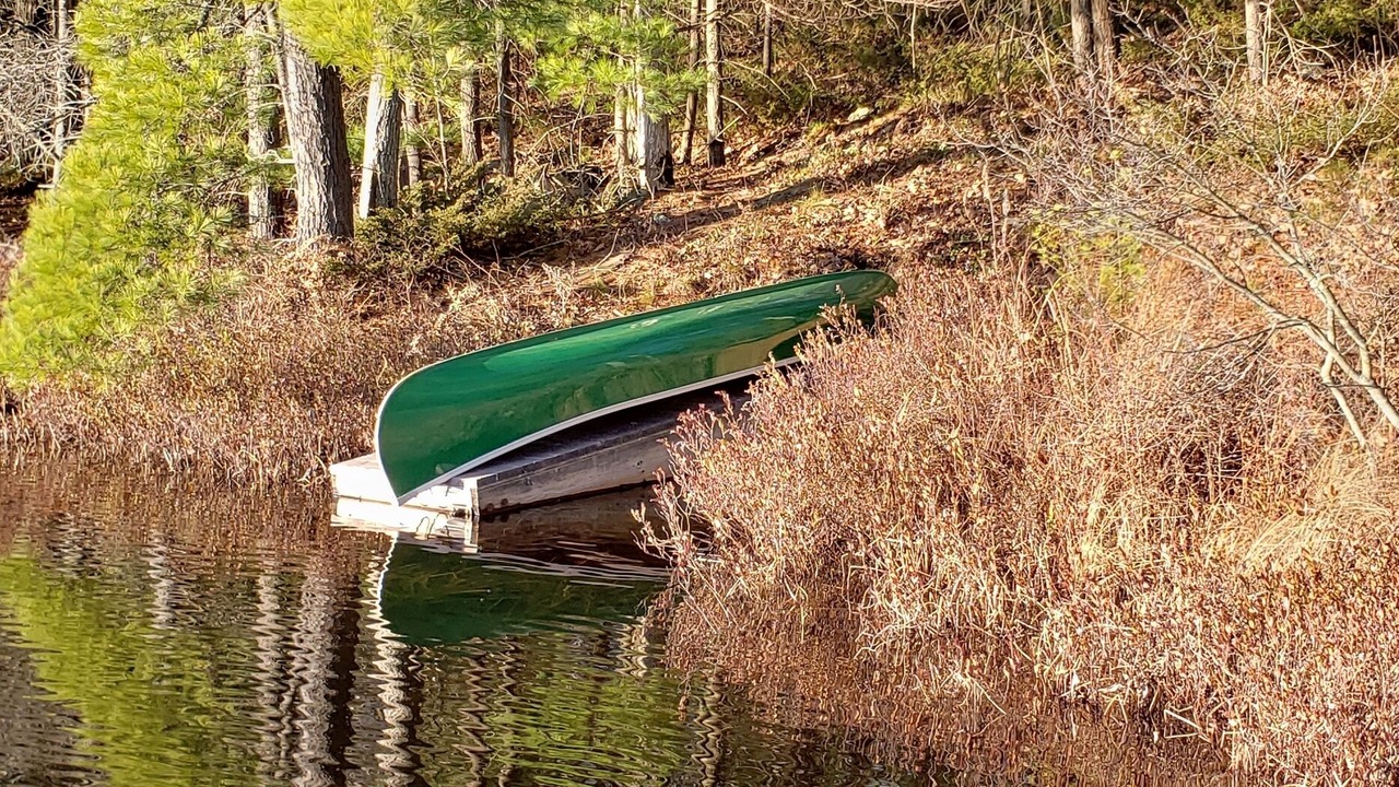 Photo of Outdoor in Bala