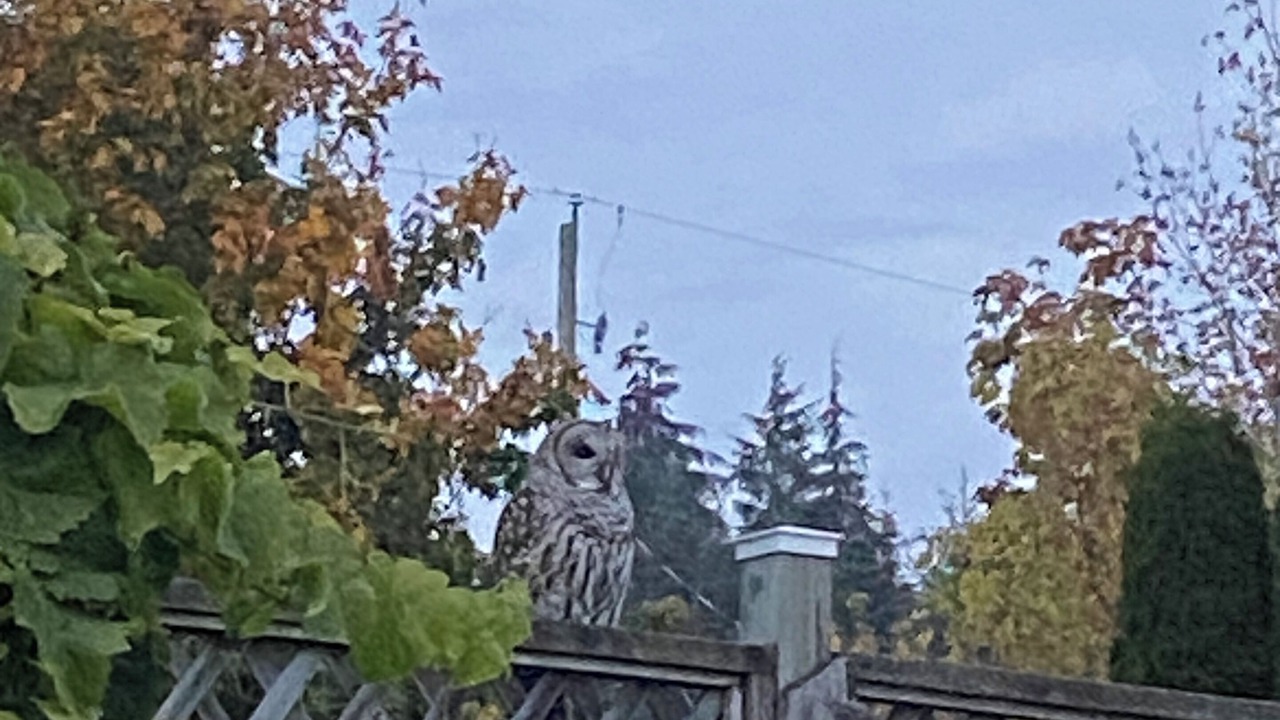 Photo of Others in Otter Point