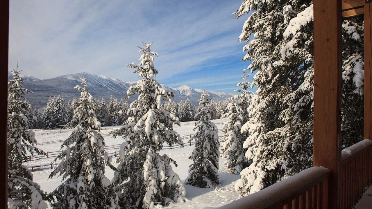 Photo of Outdoor in Golden